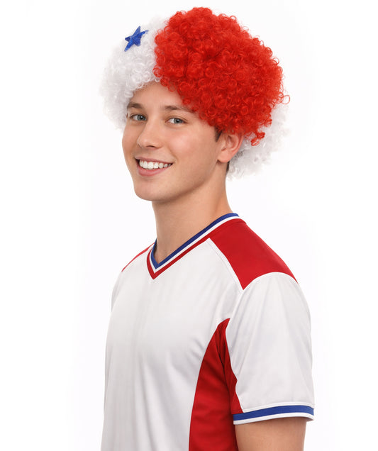 Panama Flag Afro Multicolor Wig