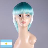 flagwigs, football wigs, fan wigs, afro wigs, mullet wigs, bob wigs, euro wigs,  premier league wigs,Argentina Bob Wig 