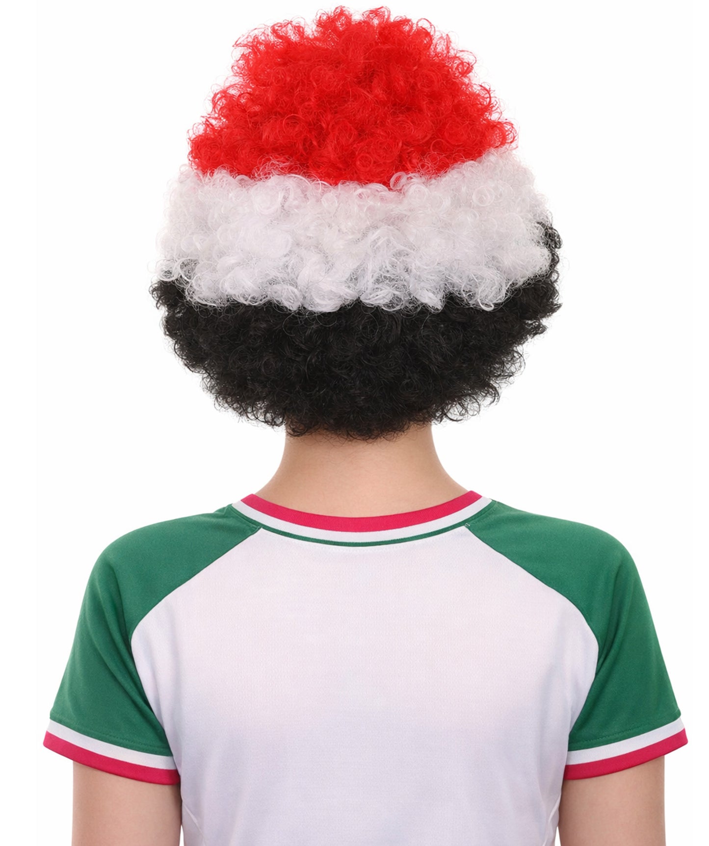 Egypt Flag Afro Multicolor Wig