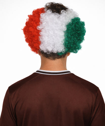 Mexico Flag Afro Multicolor Wig