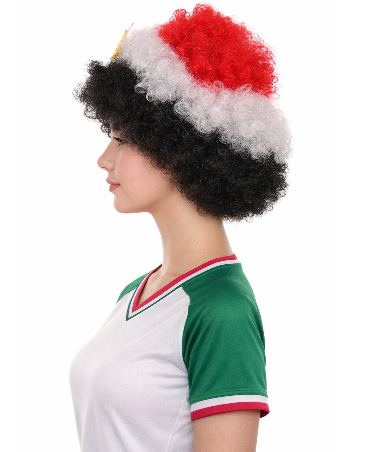 Egypt Flag Afro Multicolor Wig