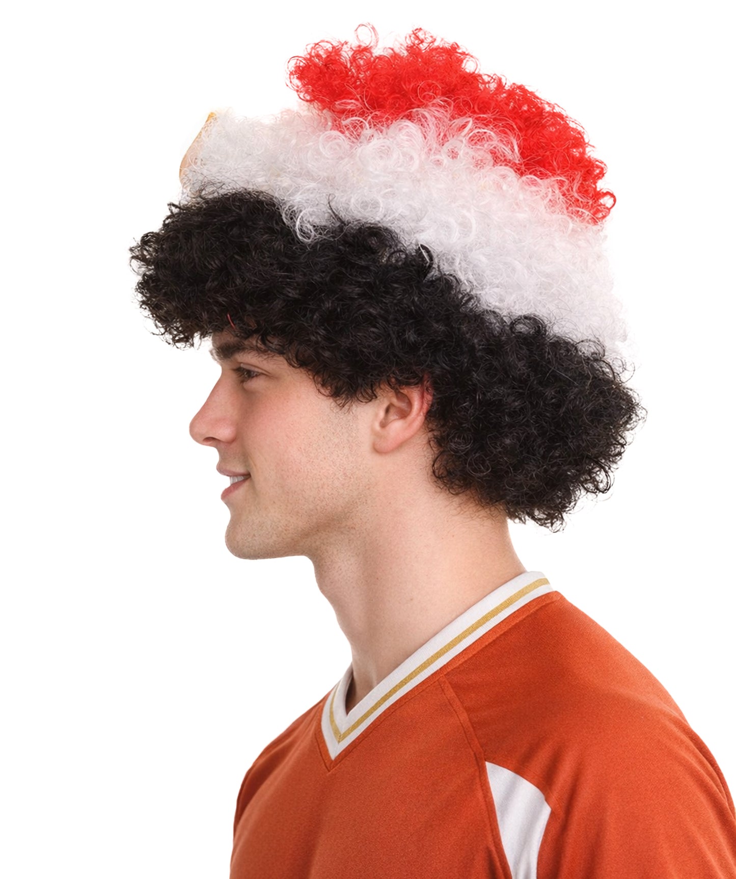 Egypt Flag Afro Multicolor Wig