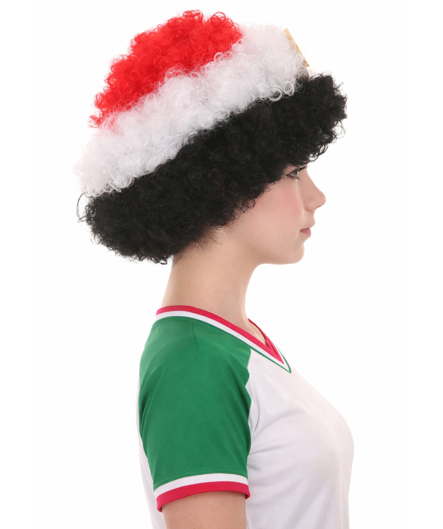 Egypt Flag Afro Multicolor Wig
