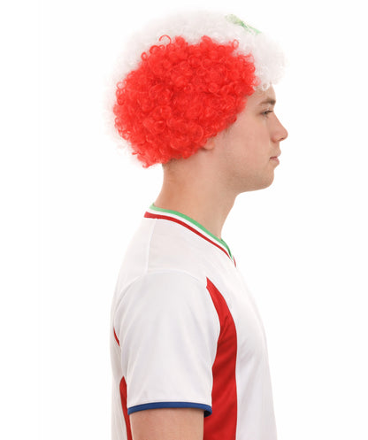 Peru Flag Afro Multicolor Wig